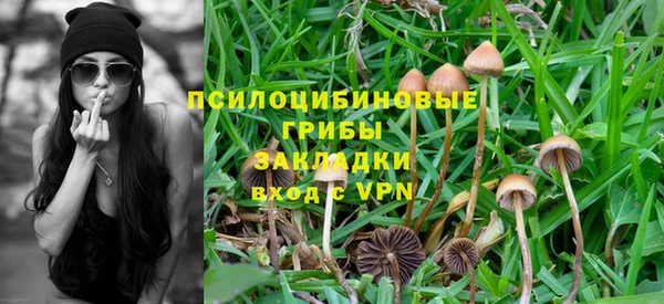 молекула духа Волоколамск
