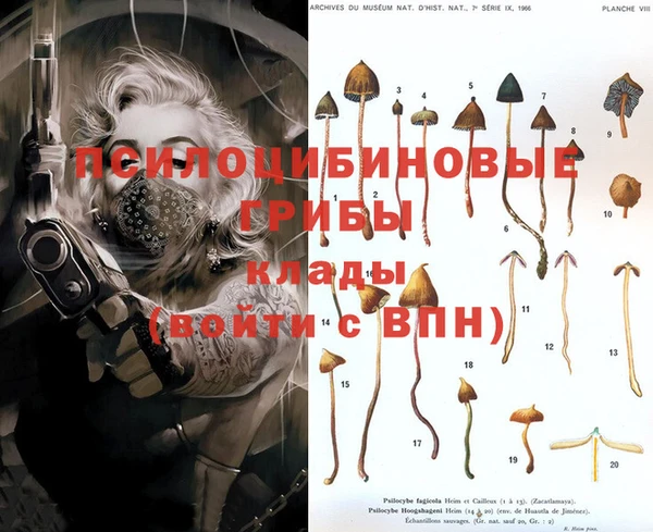 таблы Волосово