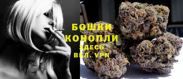 молекула духа Волоколамск