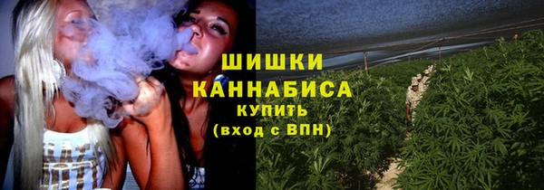 молекула духа Волоколамск